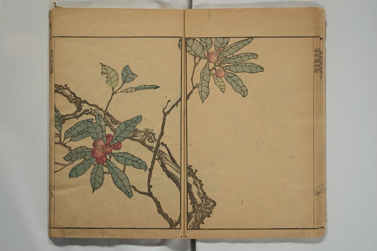 Kinpaen (Bunpō) Picture Album (Kinpaen gafu) 金波園画譜, Kawamura Bunpō 河村文鳳 (Japanese, 1779–1821), Woodblock printed book; ink and color on paper, Japan
