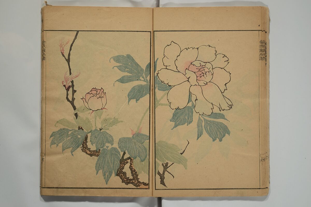 Kinpaen (Bunpō) Picture Album (Kinpaen gafu) 金波園画譜, Kawamura Bunpō 河村文鳳 (Japanese, 1779–1821), Woodblock printed book; ink and color on paper, Japan