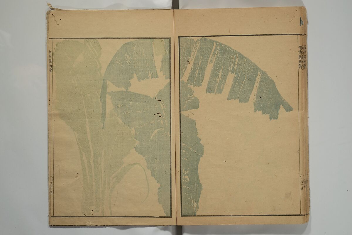 Kinpaen (Bunpō) Picture Album (Kinpaen gafu) 金波園画譜, Kawamura Bunpō 河村文鳳 (Japanese, 1779–1821), Woodblock printed book; ink and color on paper, Japan