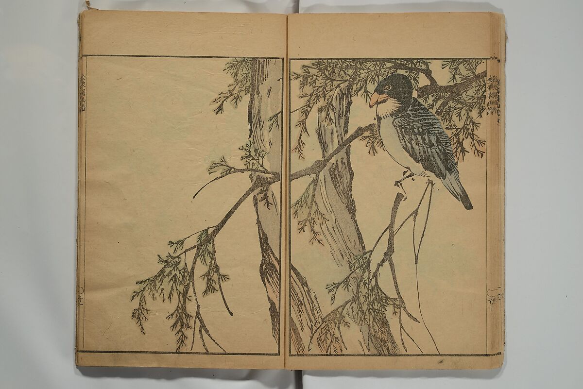 Kinpaen (Bunpō) Picture Album (Kinpaen gafu) 金波園画譜, Kawamura Bunpō 河村文鳳 (Japanese, 1779–1821), Woodblock printed book; ink and color on paper, Japan