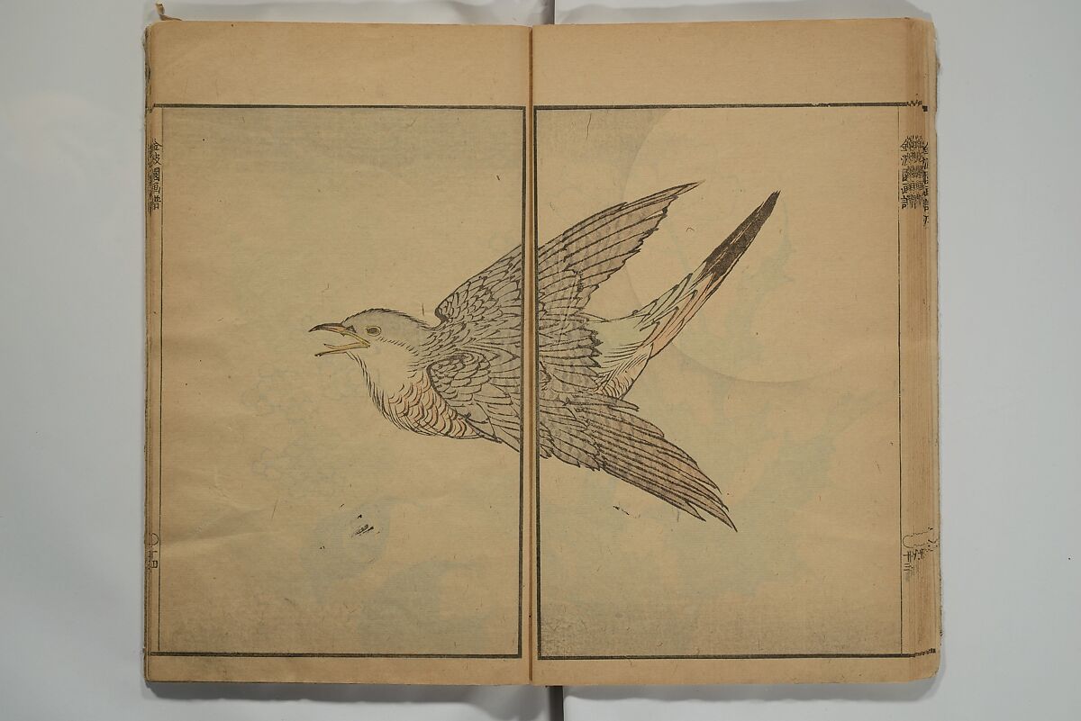 Kinpaen (Bunpō) Picture Album (Kinpaen gafu) 金波園画譜, Kawamura Bunpō 河村文鳳 (Japanese, 1779–1821), Woodblock printed book; ink and color on paper, Japan