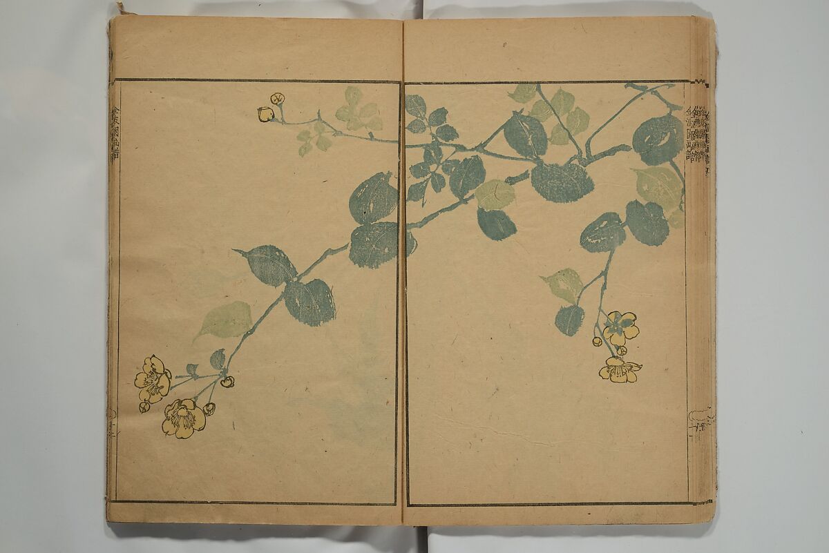 Kinpaen (Bunpō) Picture Album (Kinpaen gafu) 金波園画譜, Kawamura Bunpō 河村文鳳 (Japanese, 1779–1821), Woodblock printed book; ink and color on paper, Japan