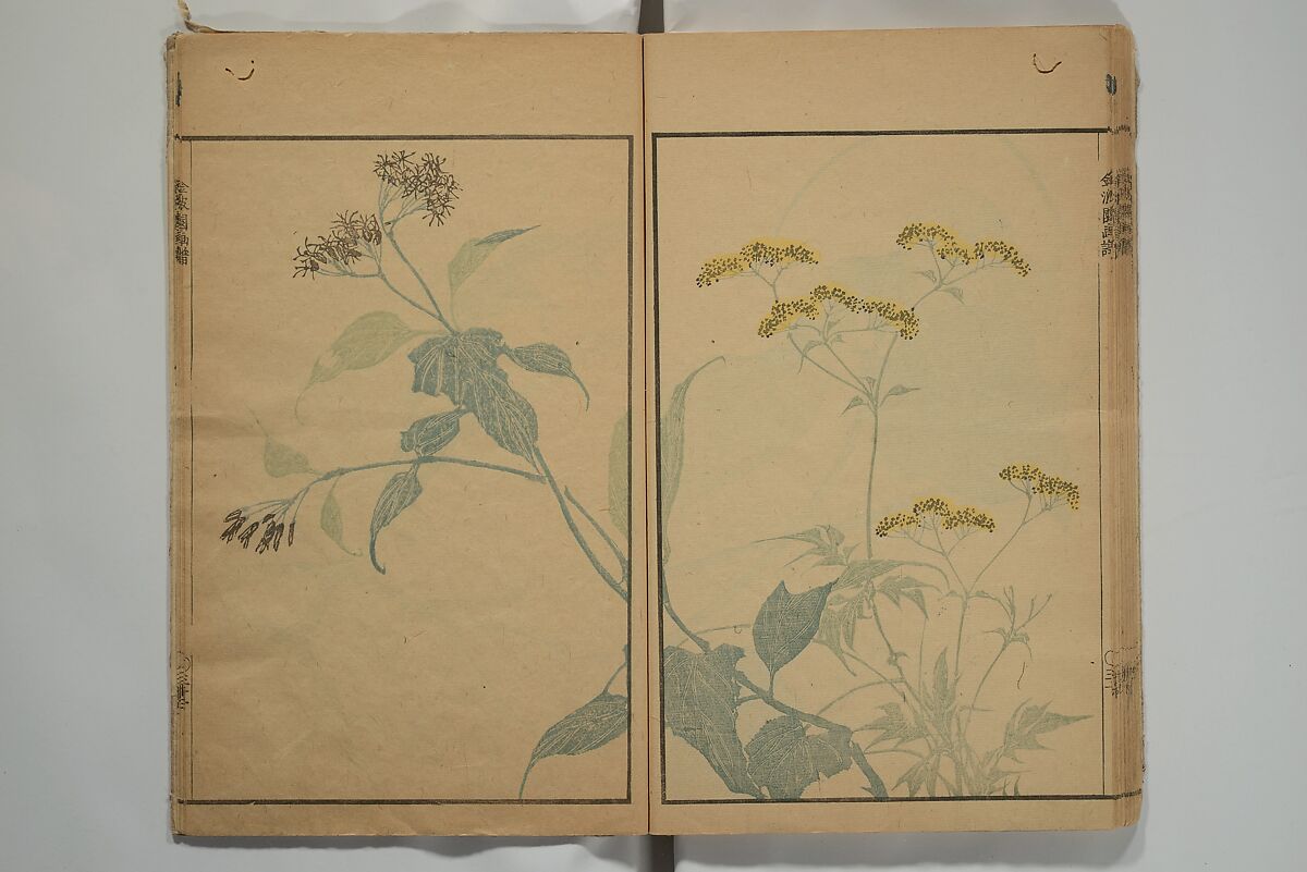 Kinpaen (Bunpō) Picture Album (Kinpaen gafu) 金波園画譜, Kawamura Bunpō 河村文鳳 (Japanese, 1779–1821), Woodblock printed book; ink and color on paper, Japan