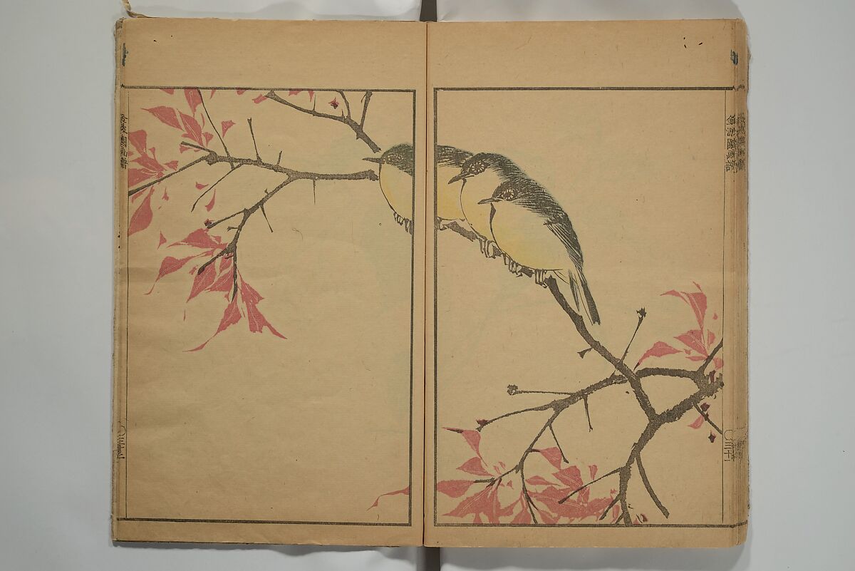 Kinpaen (Bunpō) Picture Album (Kinpaen gafu) 金波園画譜, Kawamura Bunpō 河村文鳳 (Japanese, 1779–1821), Woodblock printed book; ink and color on paper, Japan