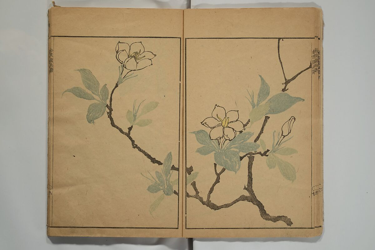 Kinpaen (Bunpō) Picture Album (Kinpaen gafu) 金波園画譜, Kawamura Bunpō 河村文鳳 (Japanese, 1779–1821), Woodblock printed book; ink and color on paper, Japan
