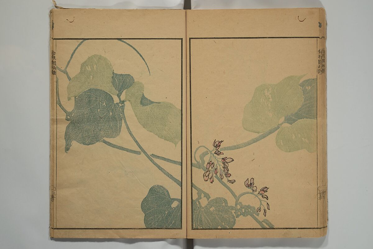 Kinpaen (Bunpō) Picture Album (Kinpaen gafu) 金波園画譜, Kawamura Bunpō 河村文鳳 (Japanese, 1779–1821), Woodblock printed book; ink and color on paper, Japan