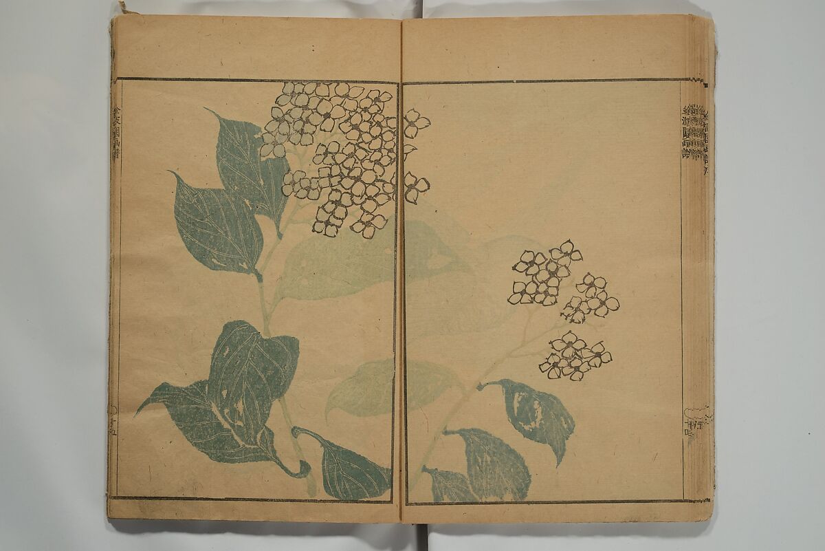 Kinpaen (Bunpō) Picture Album (Kinpaen gafu) 金波園画譜, Kawamura Bunpō 河村文鳳 (Japanese, 1779–1821), Woodblock printed book; ink and color on paper, Japan