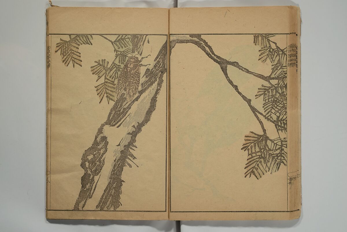 Kinpaen (Bunpō) Picture Album (Kinpaen gafu) 金波園画譜, Kawamura Bunpō 河村文鳳 (Japanese, 1779–1821), Woodblock printed book; ink and color on paper, Japan