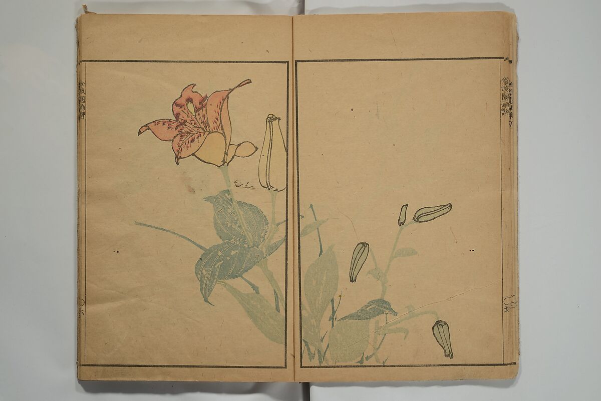 Kinpaen (Bunpō) Picture Album (Kinpaen gafu) 金波園画譜, Kawamura Bunpō 河村文鳳 (Japanese, 1779–1821), Woodblock printed book; ink and color on paper, Japan