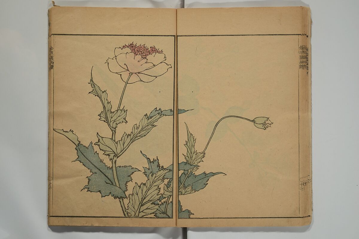 Kinpaen (Bunpō) Picture Album (Kinpaen gafu) 金波園画譜, Kawamura Bunpō 河村文鳳 (Japanese, 1779–1821), Woodblock printed book; ink and color on paper, Japan
