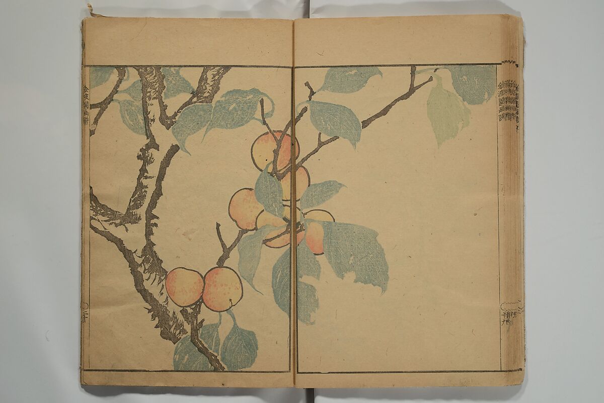 Kinpaen (Bunpō) Picture Album (Kinpaen gafu) 金波園画譜, Kawamura Bunpō 河村文鳳 (Japanese, 1779–1821), Woodblock printed book; ink and color on paper, Japan