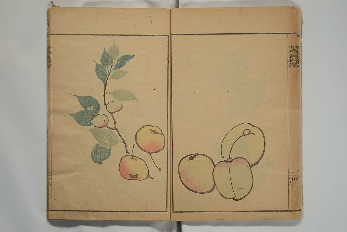 Kinpaen (Bunpō) Picture Album (Kinpaen gafu) 金波園画譜, Kawamura Bunpō 河村文鳳 (Japanese, 1779–1821), Woodblock printed book; ink and color on paper, Japan
