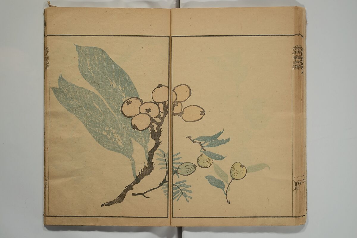 Kinpaen (Bunpō) Picture Album (Kinpaen gafu) 金波園画譜, Kawamura Bunpō 河村文鳳 (Japanese, 1779–1821), Woodblock printed book; ink and color on paper, Japan