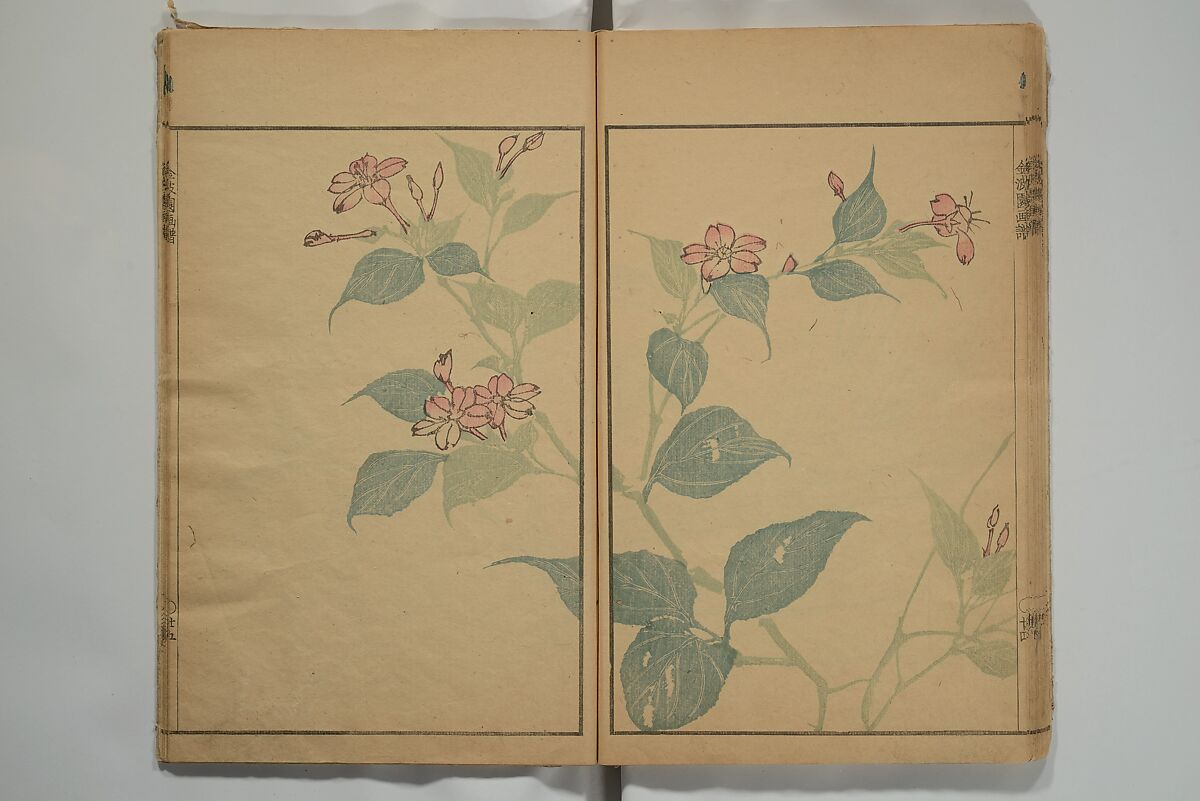 Kinpaen (Bunpō) Picture Album (Kinpaen gafu) 金波園画譜, Kawamura Bunpō 河村文鳳 (Japanese, 1779–1821), Woodblock printed book; ink and color on paper, Japan