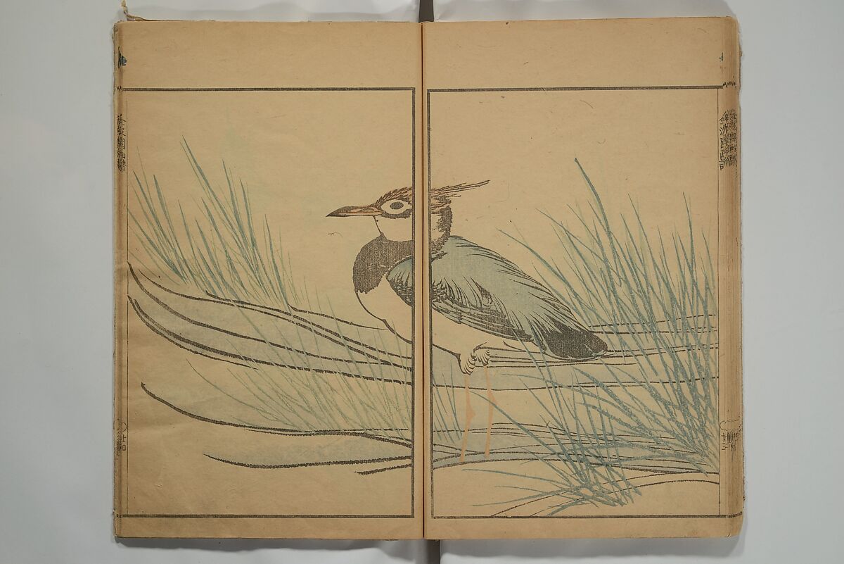 Kinpaen (Bunpō) Picture Album (Kinpaen gafu) 金波園画譜, Kawamura Bunpō 河村文鳳 (Japanese, 1779–1821), Woodblock printed book; ink and color on paper, Japan