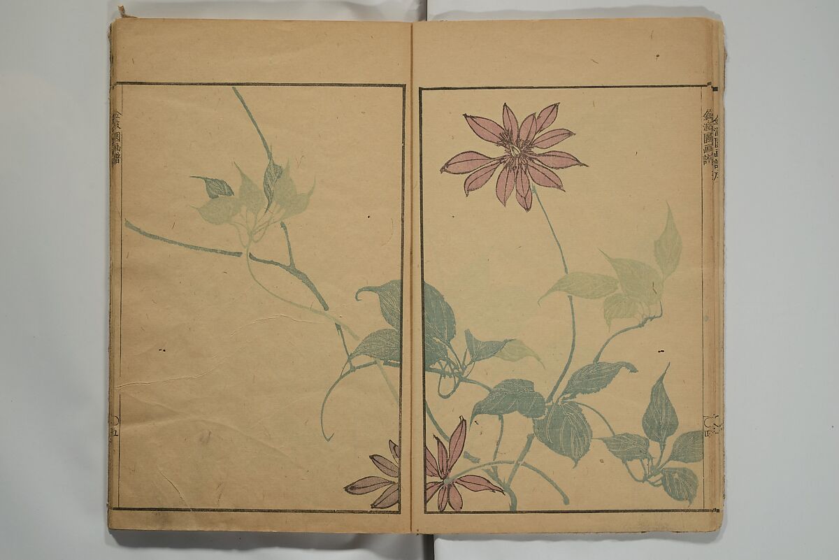 Kinpaen (Bunpō) Picture Album (Kinpaen gafu) 金波園画譜, Kawamura Bunpō 河村文鳳 (Japanese, 1779–1821), Woodblock printed book; ink and color on paper, Japan