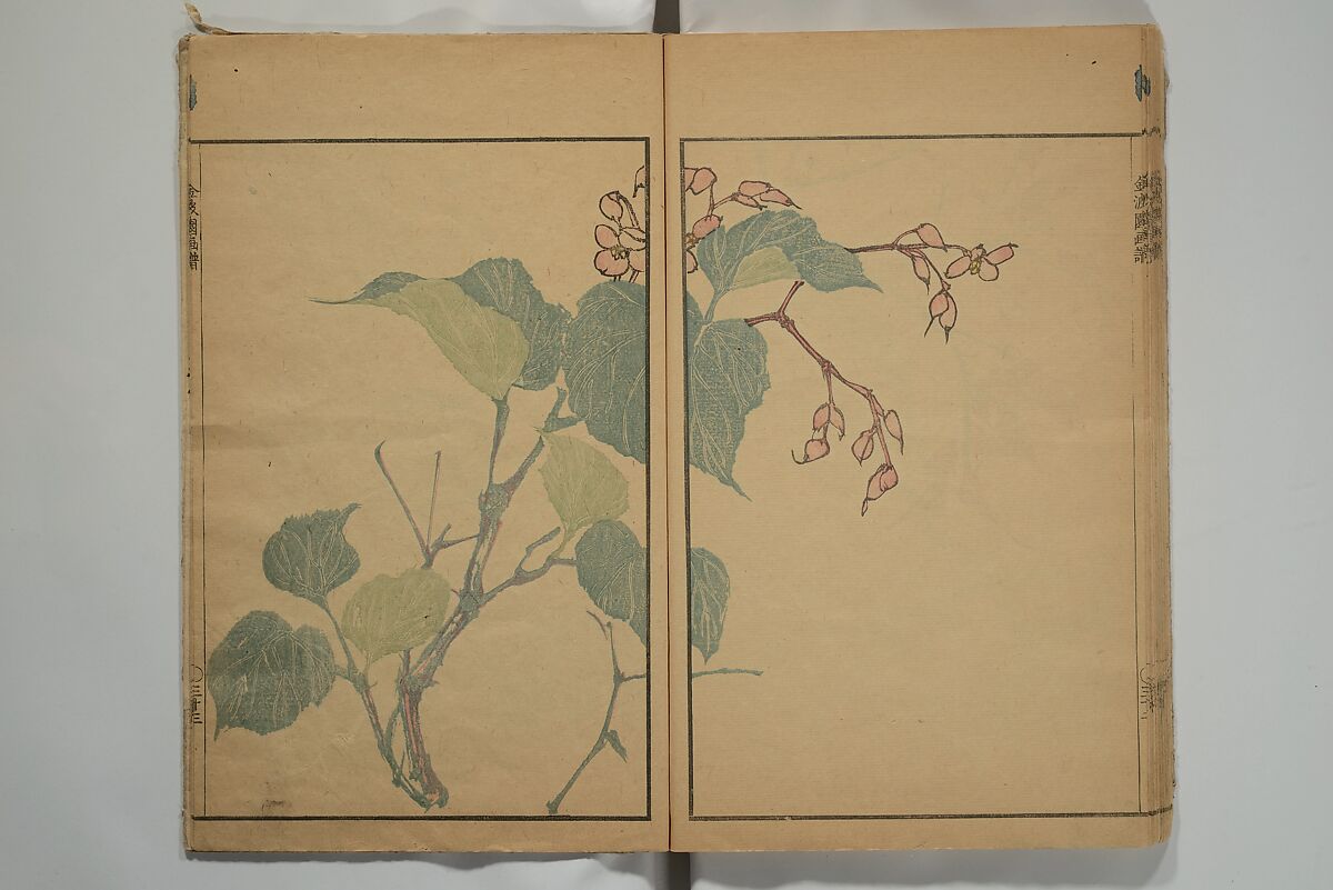 Kinpaen (Bunpō) Picture Album (Kinpaen gafu) 金波園画譜, Kawamura Bunpō 河村文鳳 (Japanese, 1779–1821), Woodblock printed book; ink and color on paper, Japan