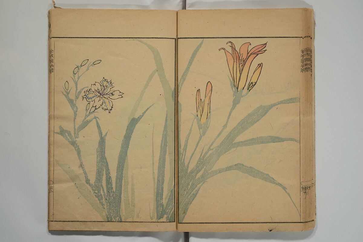 Kinpaen (Bunpō) Picture Album (Kinpaen gafu) 金波園画譜, Kawamura Bunpō 河村文鳳 (Japanese, 1779–1821), Woodblock printed book; ink and color on paper, Japan