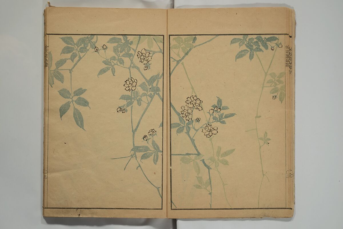 Kinpaen (Bunpō) Picture Album (Kinpaen gafu) 金波園画譜, Kawamura Bunpō 河村文鳳 (Japanese, 1779–1821), Woodblock printed book; ink and color on paper, Japan