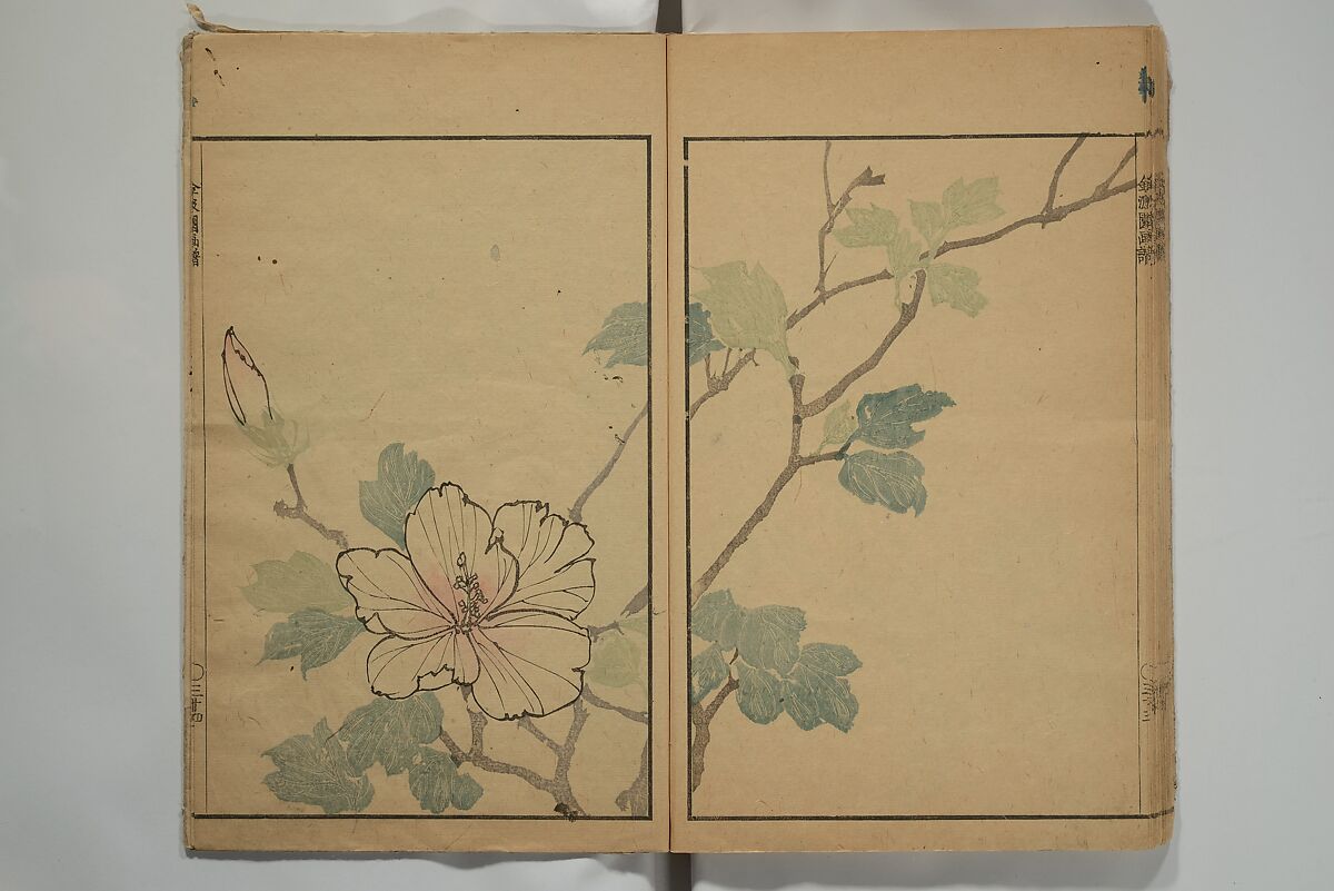 Kinpaen (Bunpō) Picture Album (Kinpaen gafu) 金波園画譜, Kawamura Bunpō 河村文鳳 (Japanese, 1779–1821), Woodblock printed book; ink and color on paper, Japan