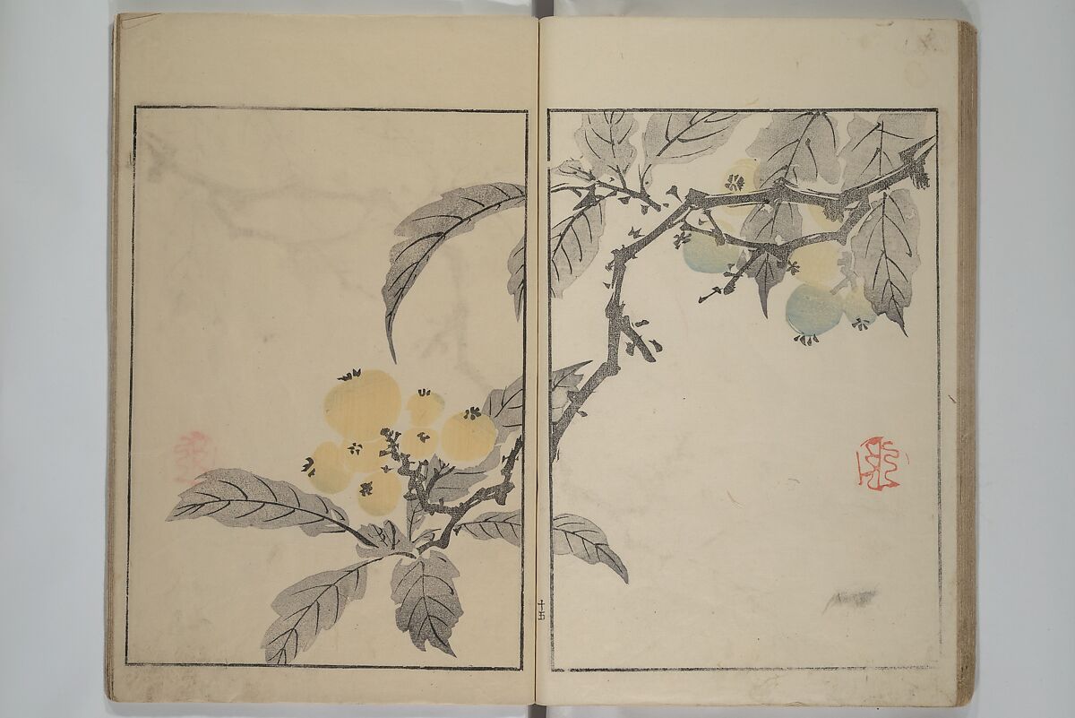 Shazanrō (Bunchō) Picture Book (Shazanrō ehon 寫山樓畫本), Tani Bunchō 谷文晁 (Japanese, 1763–1840), Woodblock-printed book; ink and color on paper, Japan