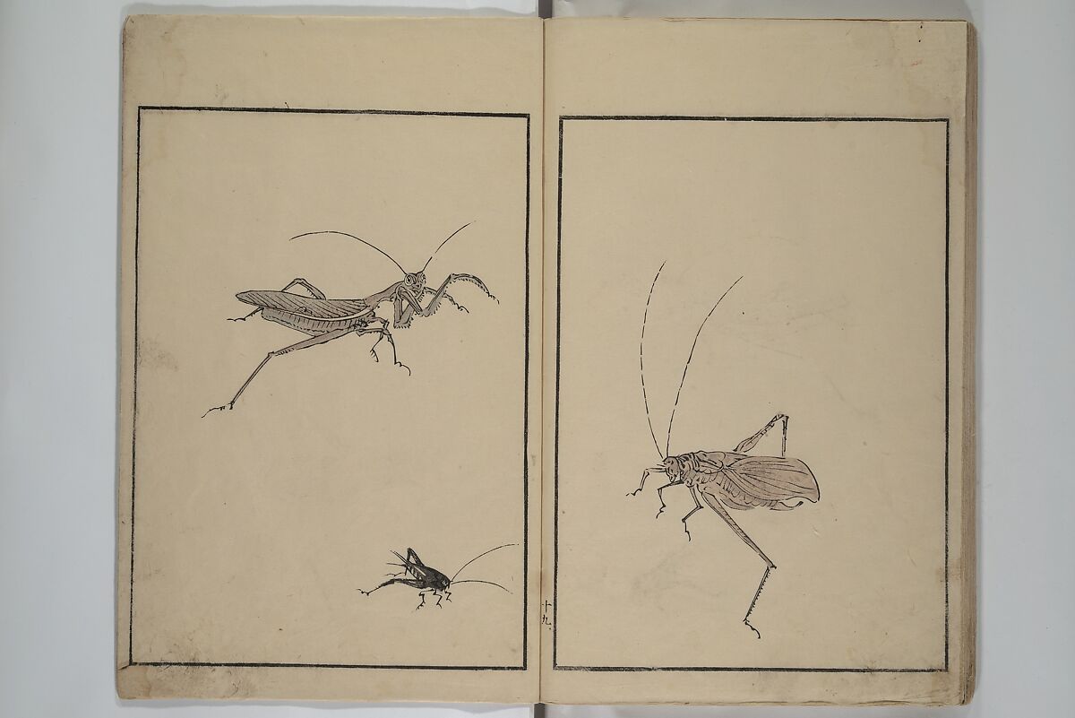 Shazanrō (Bunchō) Picture Book (Shazanrō ehon 寫山樓畫本), Tani Bunchō 谷文晁 (Japanese, 1763–1840), Woodblock-printed book; ink and color on paper, Japan