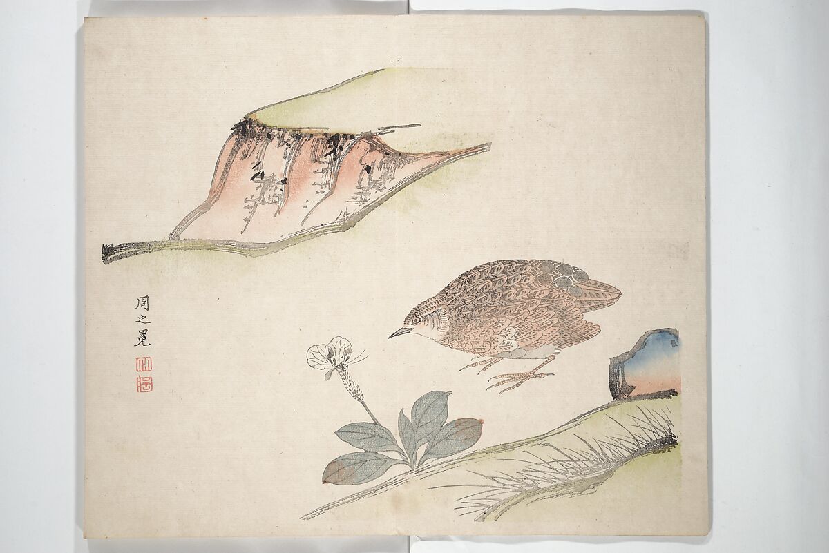 Yūsai Picture Album (Yūsai gafu) 融齋畫譜, Nakabayashi Chikutō 中林竹洞 (Japanese, 1776–1853), Woodblock printed book (orihon, accordion-style); ink and color on paper, Japan