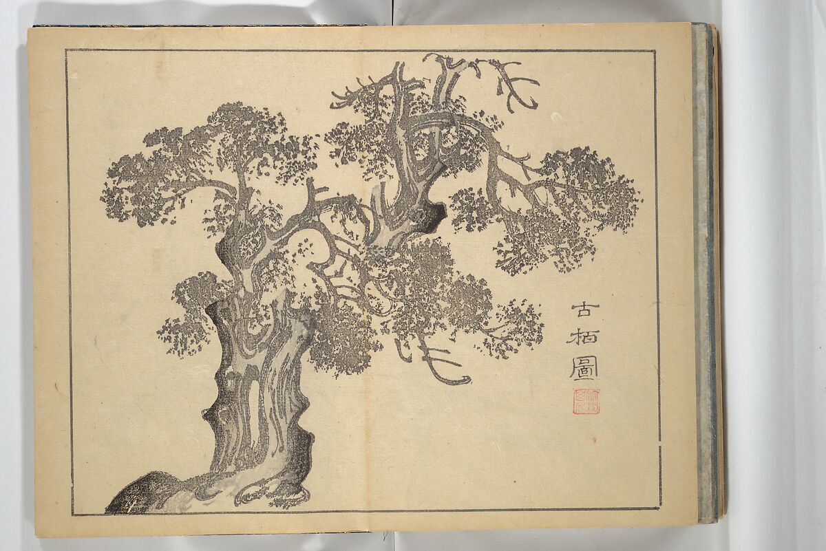 The Four Worthies (Plum, Bamboo, Orchid, Chrysanthemum) (Shikunshi) 竹洞四君子, Nakabayashi Chikutō 中林竹洞 (Japanese, 1776–1853), Set of two woodblock printed books bound as one; ink on paper, Japan