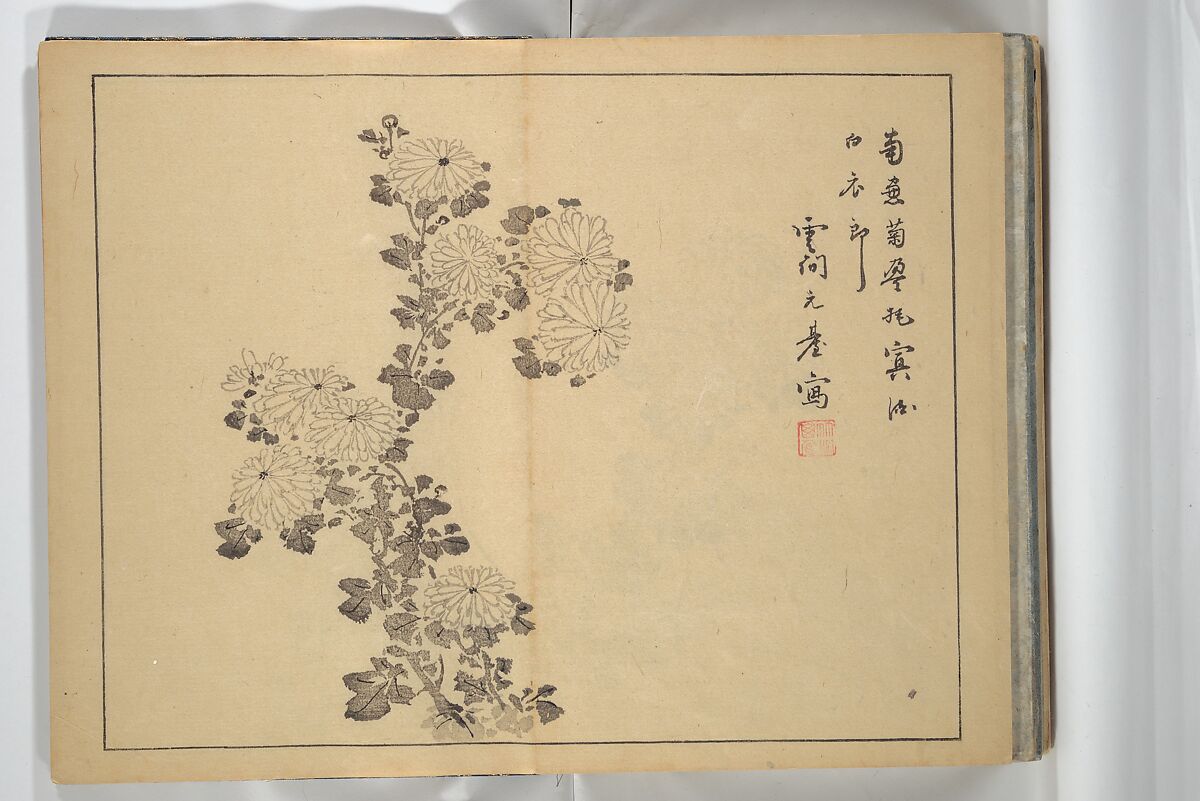 The Four Worthies (Plum, Bamboo, Orchid, Chrysanthemum) (Shikunshi) 竹洞四君子, Nakabayashi Chikutō 中林竹洞 (Japanese, 1776–1853), Set of two woodblock printed books bound as one; ink on paper, Japan