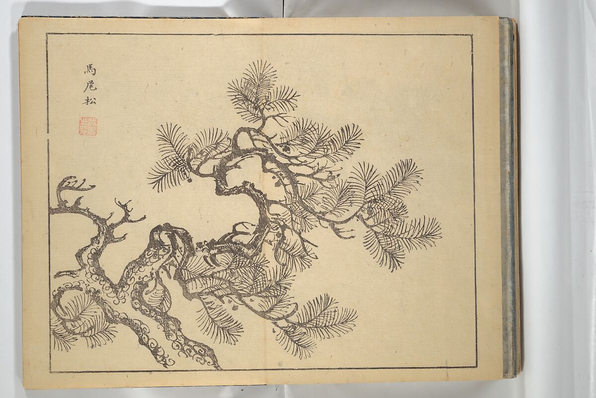 The Four Worthies (Plum, Bamboo, Orchid, Chrysanthemum) (Shikunshi) 竹洞四君子, Nakabayashi Chikutō 中林竹洞 (Japanese, 1776–1853), Set of two woodblock printed books bound as one; ink on paper, Japan