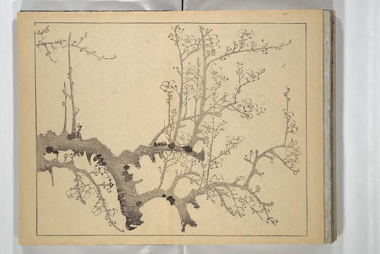 The Four Worthies (Plum, Bamboo, Orchid, Chrysanthemum) (Shikunshi) 竹洞四君子