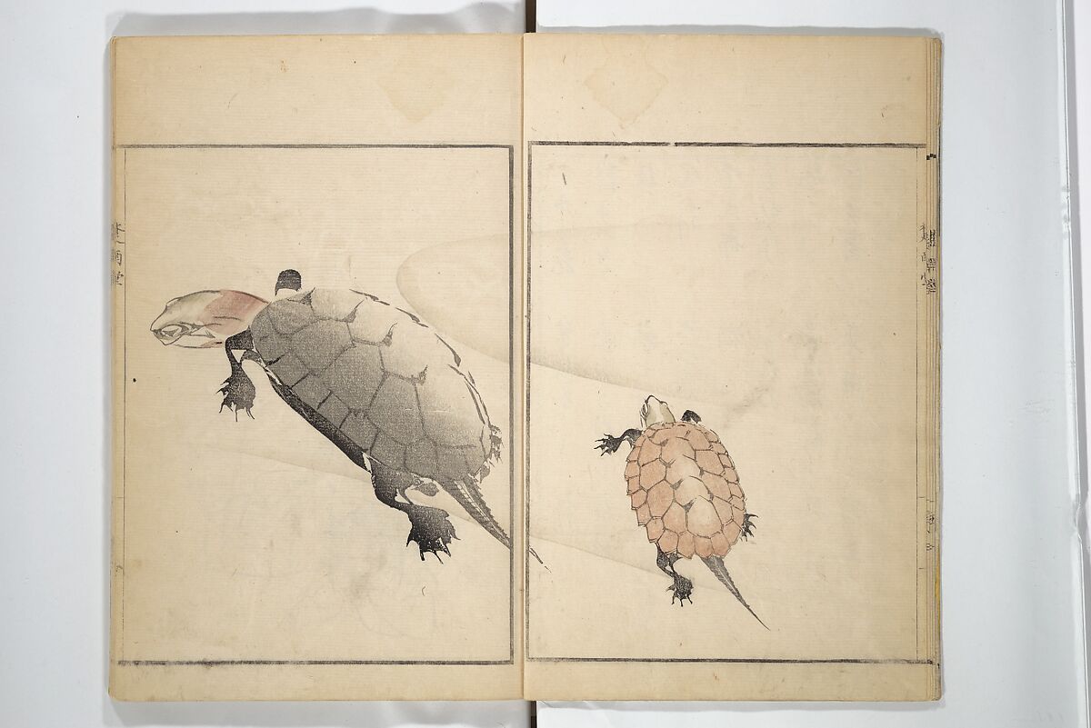 Sōnan (Chinnen) Picture Album (Sōnan gafu) 楚南画譜, Onishi Chinnen 大西椿年 (Japanese, 1792–1851), Woodblock printed book; ink and color on paper, Japan