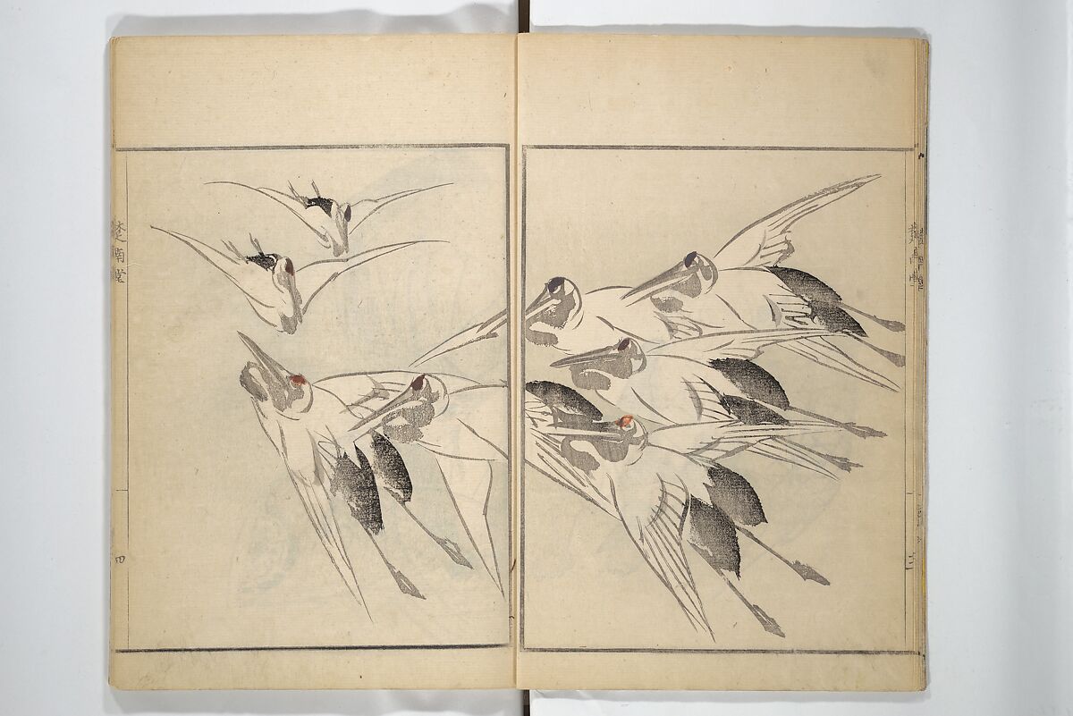 Sōnan (Chinnen) Picture Album (Sōnan gafu) 楚南画譜, Onishi Chinnen 大西椿年 (Japanese, 1792–1851), Woodblock printed book; ink and color on paper, Japan