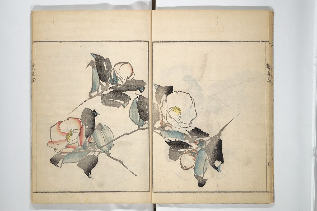 Sōnan (Chinnen) Picture Album (Sōnan gafu) 楚南画譜, Onishi Chinnen 大西椿年 (Japanese, 1792–1851), Woodblock printed book; ink and color on paper, Japan