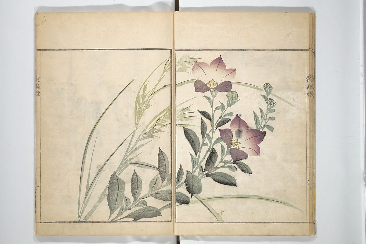 Sōnan (Chinnen) Picture Album (Sōnan gafu) 楚南画譜, Onishi Chinnen 大西椿年 (Japanese, 1792–1851), Woodblock printed book; ink and color on paper, Japan