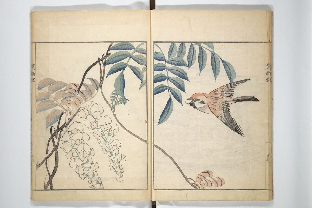 Sōnan (Chinnen) Picture Album (Sōnan gafu) 楚南画譜, Onishi Chinnen 大西椿年 (Japanese, 1792–1851), Woodblock printed book; ink and color on paper, Japan