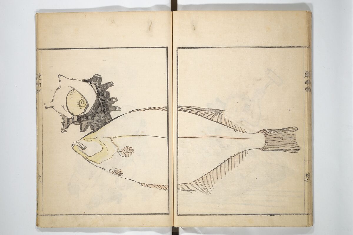 Sōnan (Chinnen) Picture Album (Sōnan gafu) 楚南画譜, Onishi Chinnen 大西椿年 (Japanese, 1792–1851), Woodblock printed book; ink and color on paper, Japan