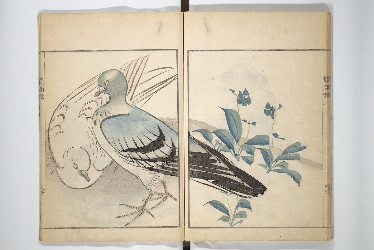 Sōnan (Chinnen) Picture Album (Sōnan gafu) 楚南画譜, Onishi Chinnen 大西椿年 (Japanese, 1792–1851), Woodblock printed book; ink and color on paper, Japan