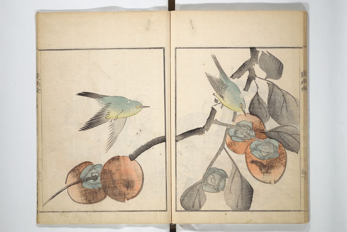 Sōnan (Chinnen) Picture Album (Sōnan gafu) 楚南画譜, Onishi Chinnen 大西椿年 (Japanese, 1792–1851), Woodblock printed book; ink and color on paper, Japan