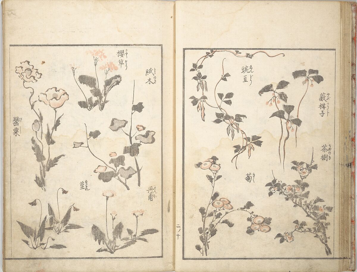 Picture Album of the Floating World (Ukiyo efu) 浮世画譜, Keisai Eisen 渓斎英泉 (Japanese, 1790–1848), Set of three woodblock printed books; ink and color on paper, Japan