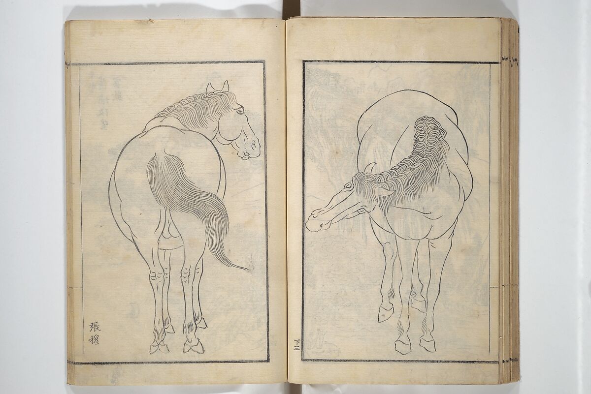 Drawings by the Drunken Fuyō (Gazu sui Fuyō) 画図酔芙蓉, Suzuki Fuyō 鈴木芙蓉 (Japanese, 1749–1816), Set of three woodblock printed books bound as a single volume; ink on paper, Japan