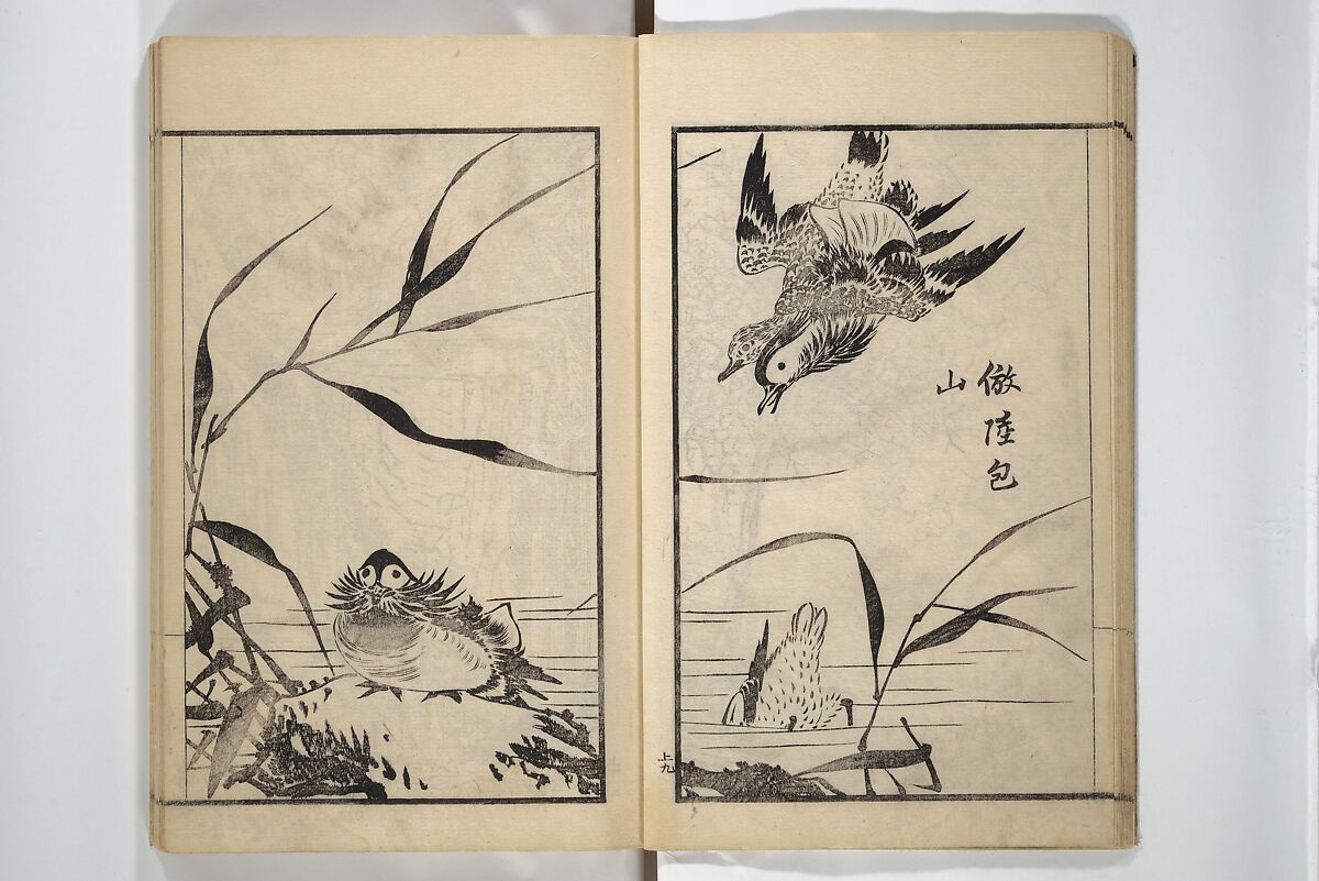 Drawings by the Drunken Fuyō (Gazu sui Fuyō) 画図酔芙蓉, Suzuki Fuyō 鈴木芙蓉 (Japanese, 1749–1816), Set of three woodblock printed books bound as a single volume; ink on paper, Japan