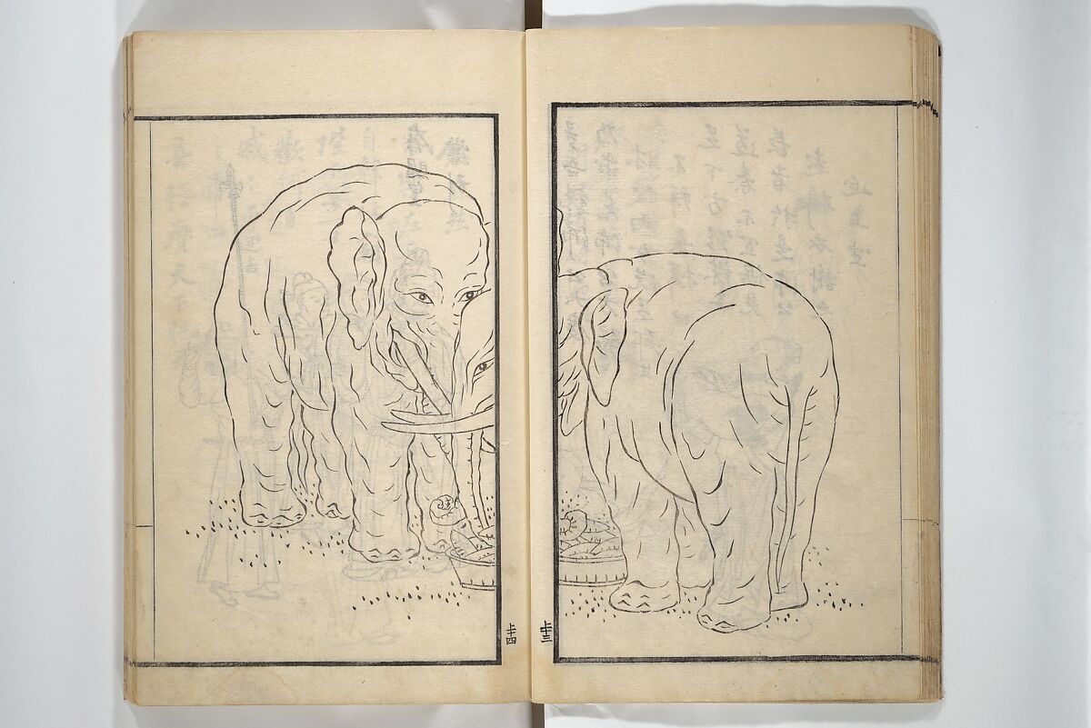 Drawings by the Drunken Fuyō (Gazu sui Fuyō) 画図酔芙蓉, Suzuki Fuyō 鈴木芙蓉 (Japanese, 1749–1816), Set of three woodblock printed books bound as a single volume; ink on paper, Japan