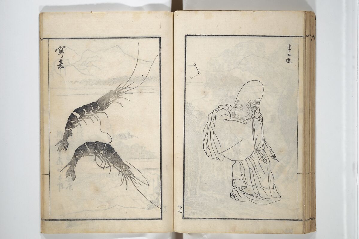 Drawings by the Drunken Fuyō (Gazu sui Fuyō) 画図酔芙蓉, Suzuki Fuyō 鈴木芙蓉 (Japanese, 1749–1816), Set of three woodblock printed books bound as a single volume; ink on paper, Japan