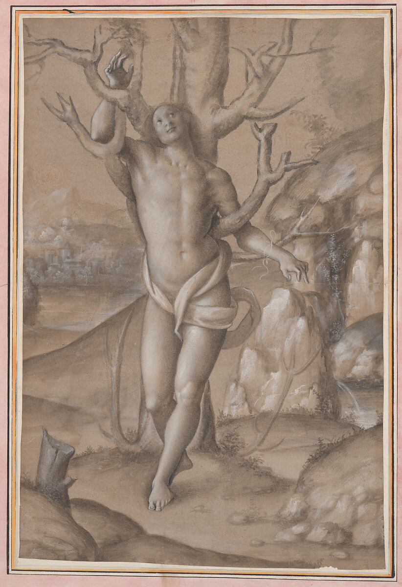 Saint Sebastian, Gerolamo Giovenone (Italian, Barengo ca. 1490–1555 Vercelli), Pen and brown ink, brush with gray and brown wash, white gouache, over some black chalk on light brown paper; the figure and parts of the tree are drawn on the basis of a dotted black-chalk underdrawing (spolvero marks). 