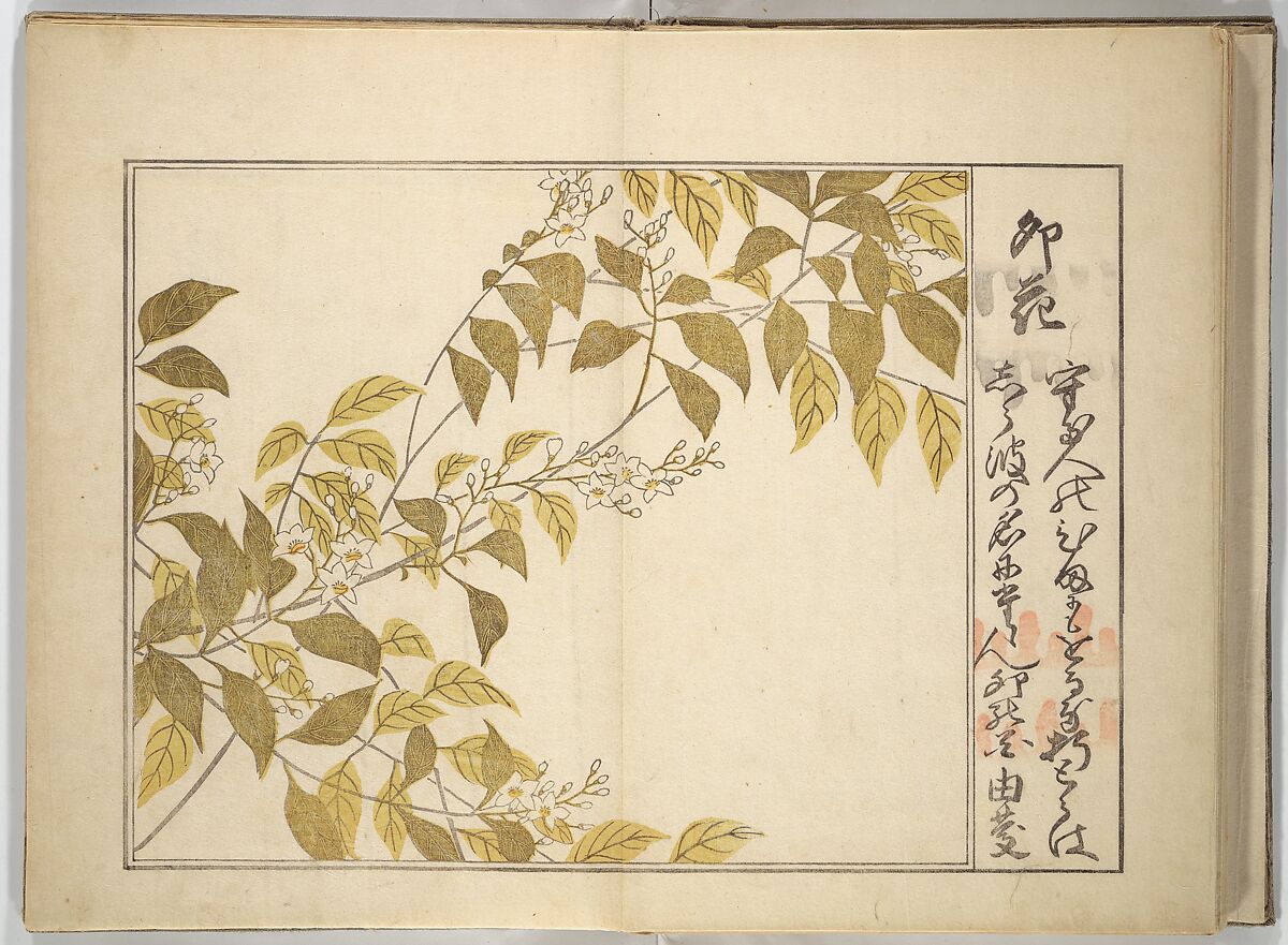 Collection of Thirty-six Kyōka Poems (Roku roku kyōka sen) 六々狂歌撰, Fukuchi Hakuei 福智白瑛 (Japanese, active early 19th century), Woodblock printed book; ink and color on paper, Japan