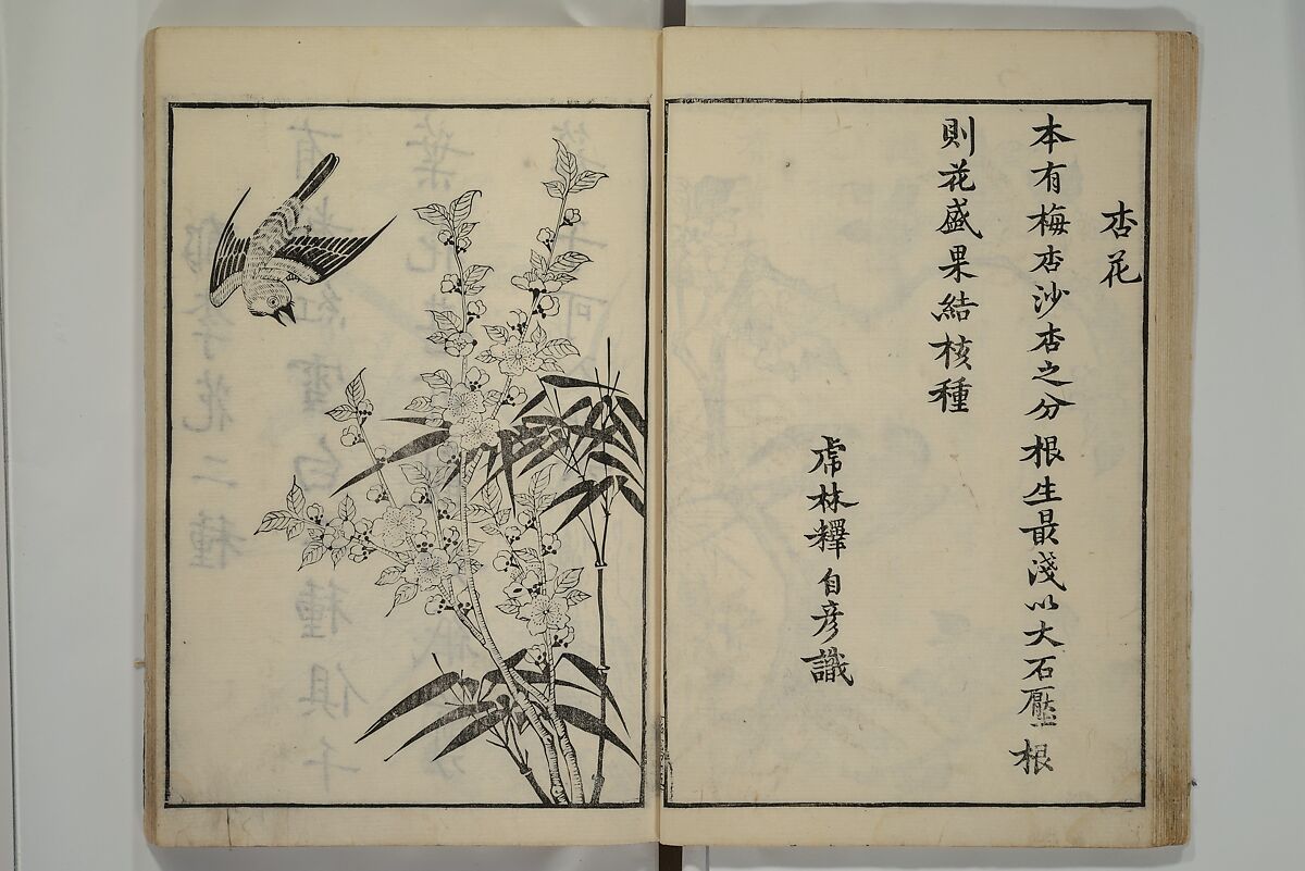 Primer on Eight Varieties of Painting (Hasshu gafu) 八集画譜, Unidentified Artists, Japanese, Set of five woodblock printed books; ink on paper, Japan