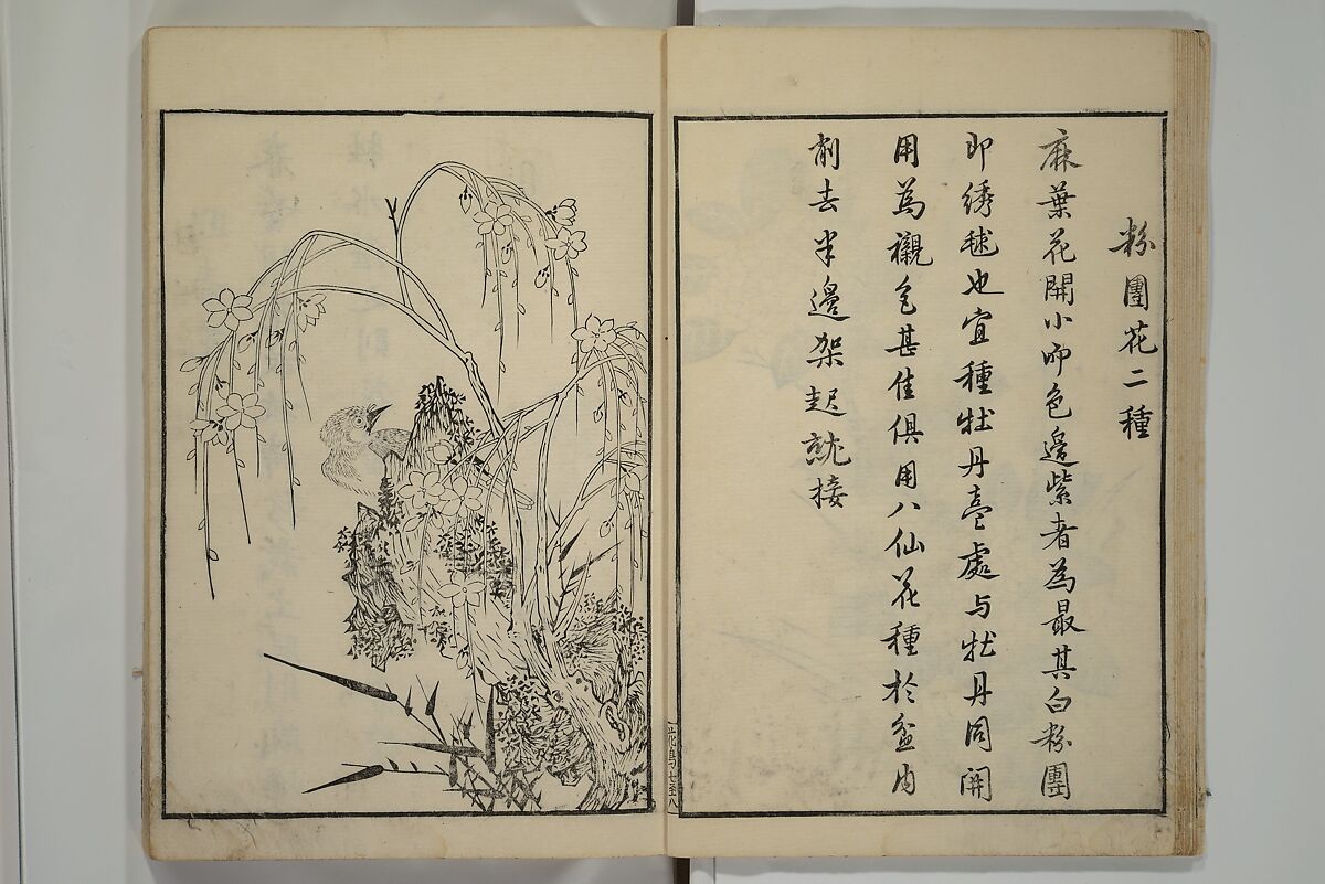 Primer on Eight Varieties of Painting (Hasshu gafu) 八集画譜, Unidentified Artists, Japanese, Set of five woodblock printed books; ink on paper, Japan