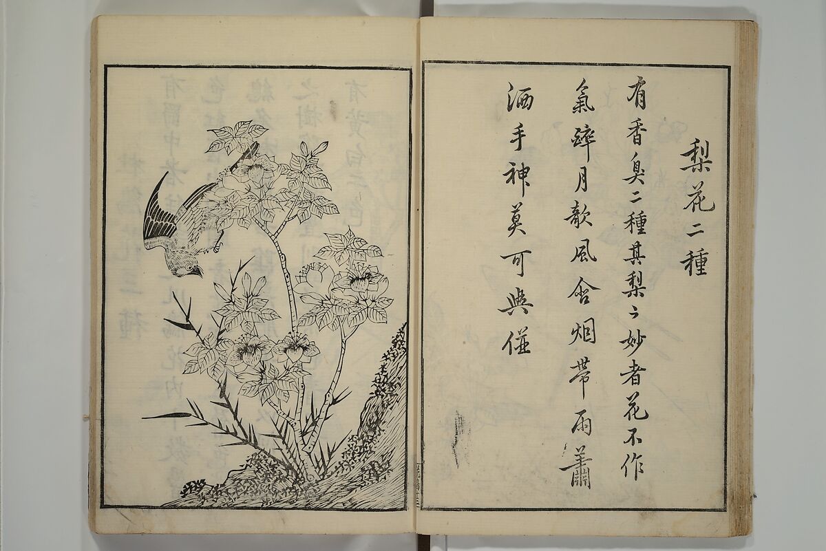 Primer on Eight Varieties of Painting (Hasshu gafu) 八集画譜, Unidentified Artists, Japanese, Set of five woodblock printed books; ink on paper, Japan