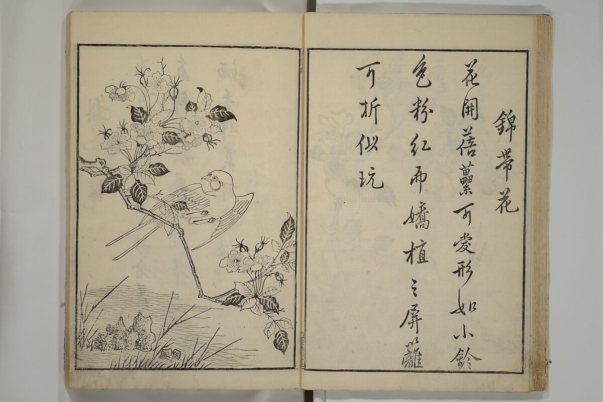 Primer on Eight Varieties of Painting (Hasshu gafu) 八集画譜, Unidentified Artists, Japanese, Set of five woodblock printed books; ink on paper, Japan